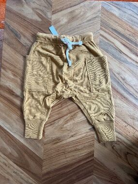 Explorer Pants